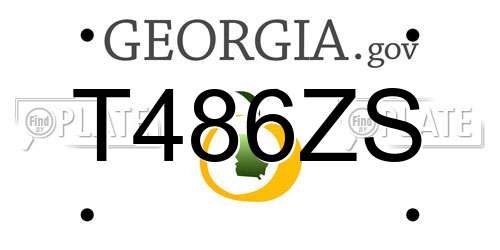 T486ZS Georgia License Plate