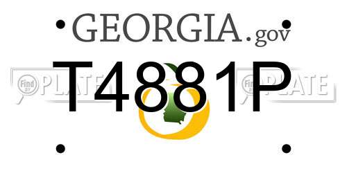 T4881P Georgia License Plate