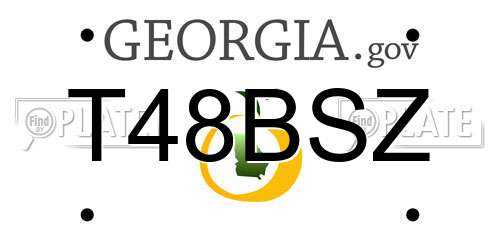 T48BSZ Georgia License Plate