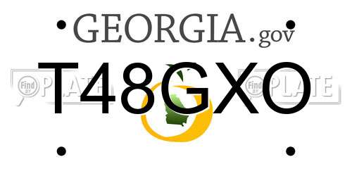 T48GXO Georgia License Plate
