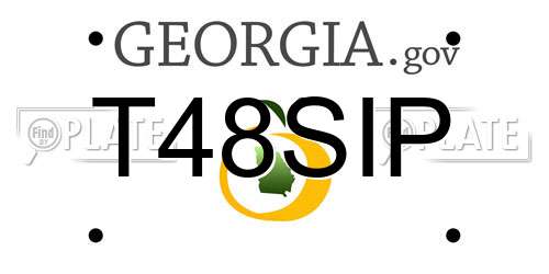 T48SIP Georgia License Plate