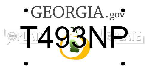T493NP Georgia License Plate