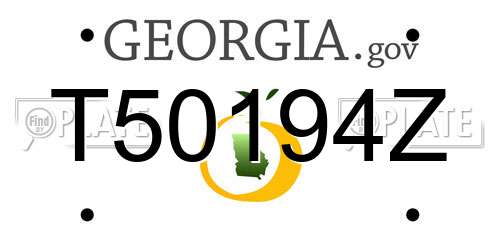 T50194Z Georgia License Plate