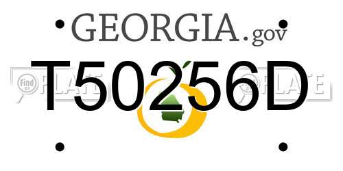 T50256D Georgia License Plate
