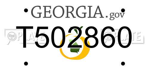 T502860 Georgia License Plate