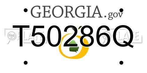 T50286Q Georgia License Plate