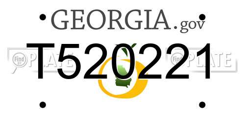 T520221 Georgia License Plate