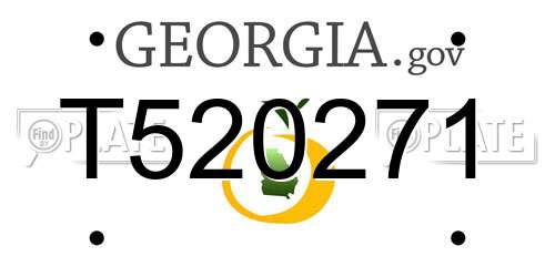 T520271 Georgia License Plate