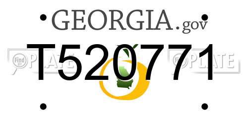 T520771 Georgia License Plate