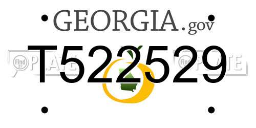T522529 Georgia License Plate