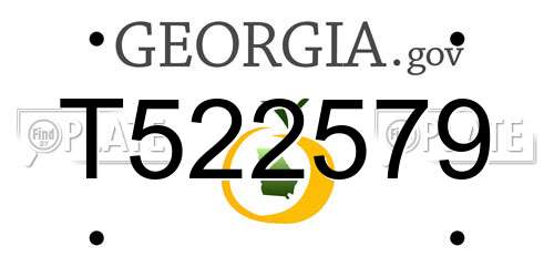 T522579 Georgia License Plate