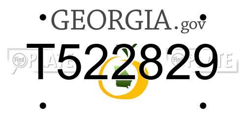 T522829 Georgia License Plate