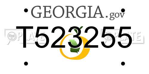T523255 Georgia License Plate