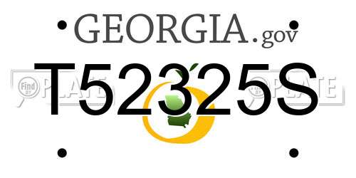 T52325S Georgia License Plate