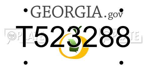 T523288 Georgia License Plate