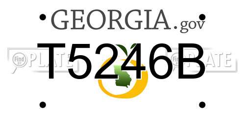 T5246B Georgia License Plate