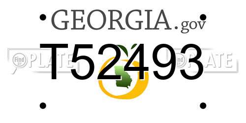 T52493 Georgia License Plate