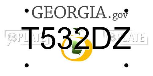 T532DZ Georgia License Plate