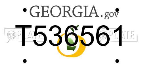 T536561 Georgia License Plate