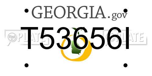 T53656I Georgia License Plate