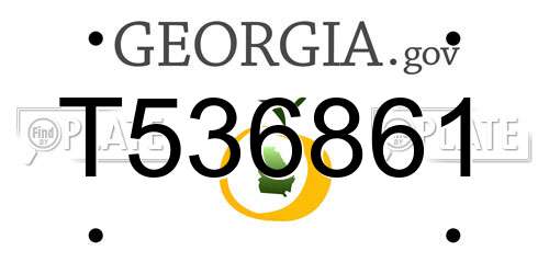 T536861 Georgia License Plate