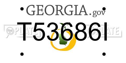 T53686I Georgia License Plate