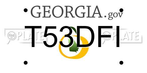 T53DFI Georgia License Plate