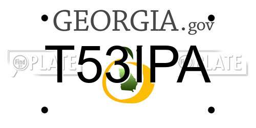 T53IPA Georgia License Plate