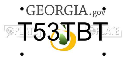 T53TBT Georgia License Plate