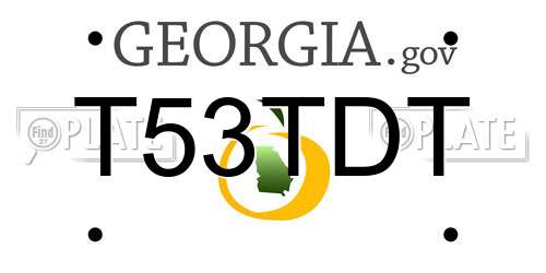 T53TDT Georgia License Plate