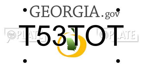 T53TOT Georgia License Plate
