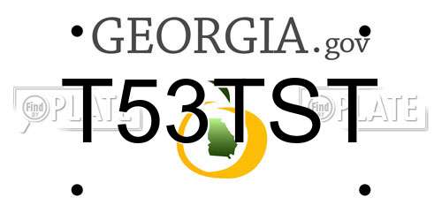 T53TST Georgia License Plate