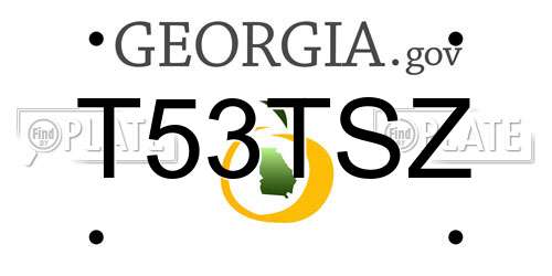 T53TSZ Georgia License Plate