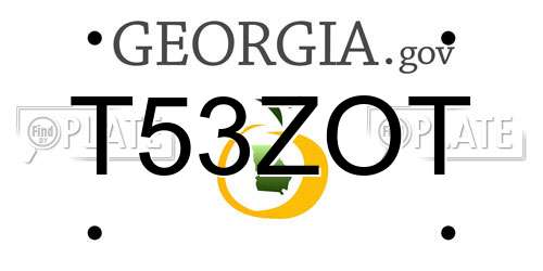 T53ZOT Georgia License Plate