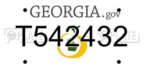 T542432 Georgia License Plate