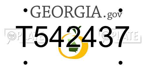 T542437 Georgia License Plate