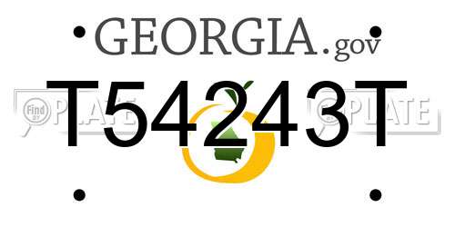 T54243T Georgia License Plate