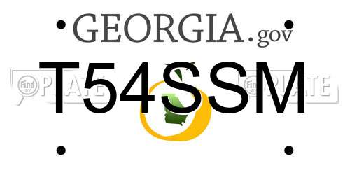 T54SSM Georgia License Plate