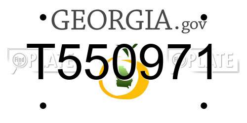 T550971 Georgia License Plate