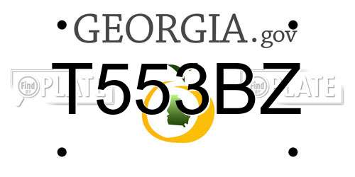 T553BZ Georgia License Plate