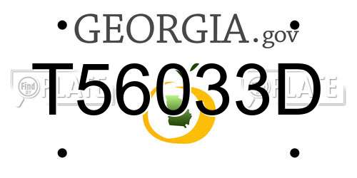 T56033D Georgia License Plate