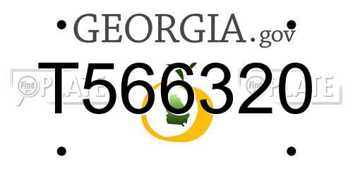 T566320 Georgia License Plate