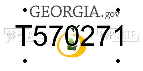 T570271 Georgia License Plate