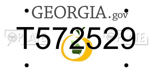 T572529 Georgia License Plate
