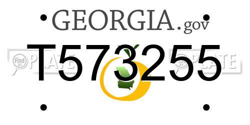 T573255 Georgia License Plate