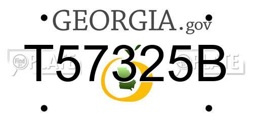 T57325B Georgia License Plate