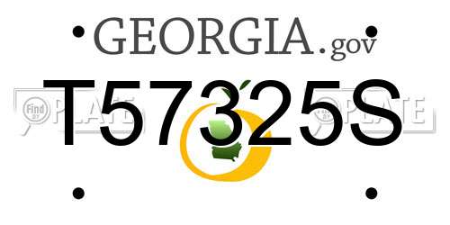 T57325S Georgia License Plate