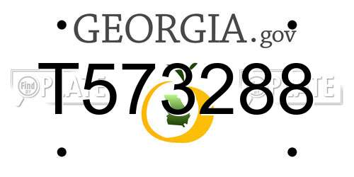 T573288 Georgia License Plate