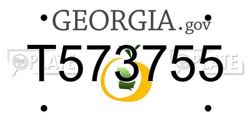 T573755 Georgia License Plate