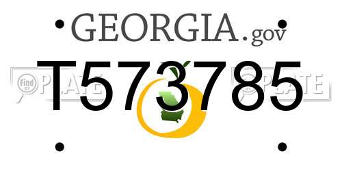 T573785 Georgia License Plate